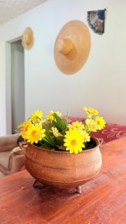 Refúgio no Campo com Piscina e Cachoeira - 2