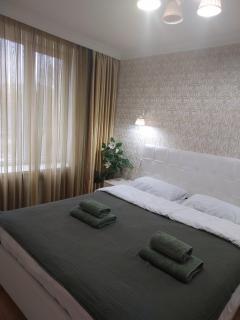 Apartament centru Negruzzi - 0