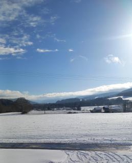 chez gigi et malou - gite jonquille - 7