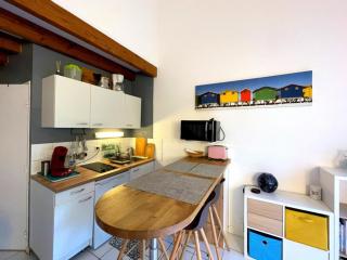 Appartement T2 mezzanine avec terrasse et animaux acceptés - FR-1-379-119 - 2