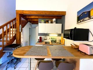 Appartement T2 mezzanine avec terrasse et animaux acceptés - FR-1-379-119 - 1