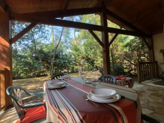 Maisonnette 3 chambres proche Océan - Animaux admis - FR-1-379-145 - 7