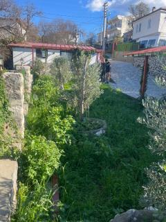 Söğüt Taşlıca Osman Köy Evi - 8