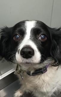 Alquilo habitación 24 euros por noche Super Top - 3