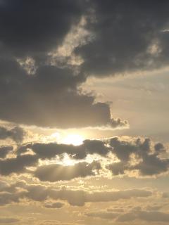 Garden Lover's Paradise - 6