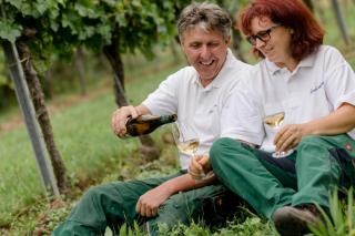 Weingut Herzinger - 1