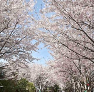 Park view 3Room apartment - 6