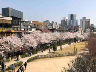 Park view 3Room apartment - 8