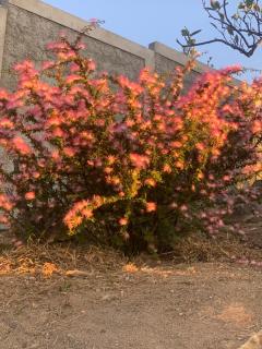 Chalé da montanhas - 4