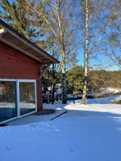 W lesie nad rzeką - 6