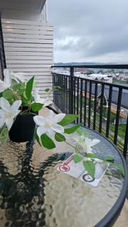 Departamento en el corazon de Villarrica - 9