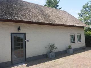 Guesthouse Rijsbergen_Zundert - 8