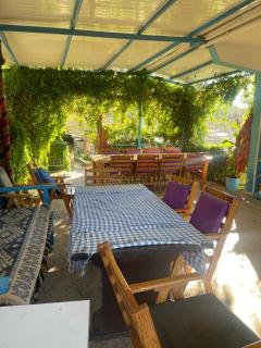 Söğüt Taşlıca Erol Köy Evi - 9