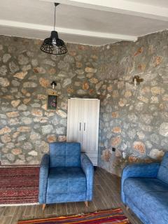 Söğüt Taşlıca Erol Köy Evi - 7