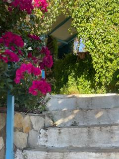 Söğüt Taşlıca Erol Köy Evi - 5