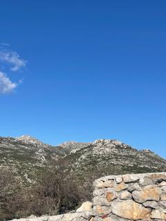 Söğüt Taşlıca Erol Köy Evi - 3