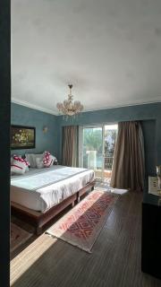 Beautiful view of marina from a hotel 5 stars - 9