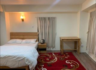 1BHK Apartment in Patan Durbar Square - 3