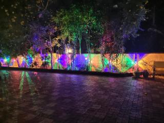 Quality Inn Resort - 9