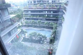 Amber Home - Swanlake - 2