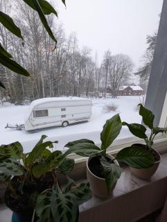 Lägenhet nära naturen - 5