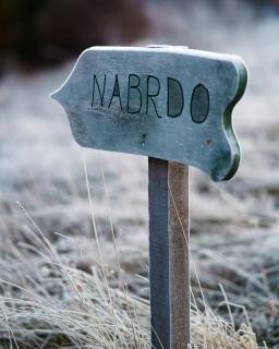 Home rent NABRDO - Kolašin - 1