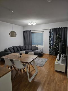 Comfortable apartment near Arktikum - 6