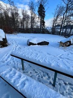 Ferienhaus Waldblick - 6