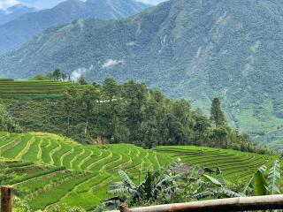 MaMa ShuShu Homestay - 6