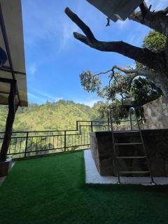 Wood Palace Ella - 7