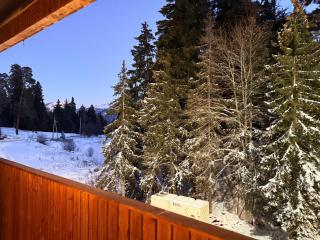 Woods Inn Kokta-Mitarbi - 5