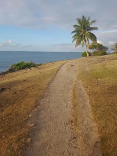 Studio cosy à 50m de la plage - 7