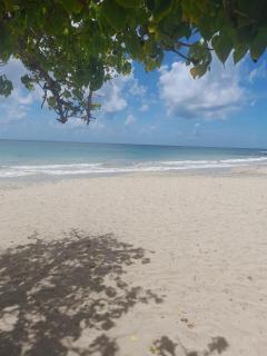 Studio cosy à 50m de la plage - 4