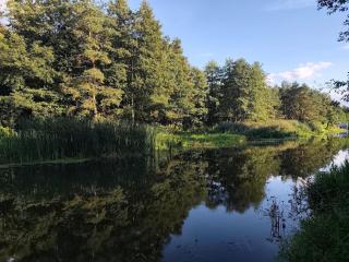 Apartament przy przystani - 9