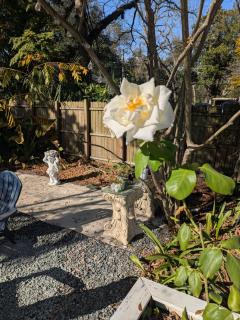 Cottage & Garden - 3