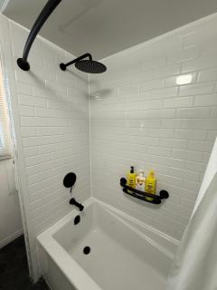 Bright, Private, Peaceful Suite with Retail Conveniences Steps Away - 5