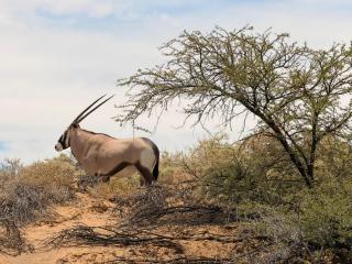 Skoorsteenberg Farm Camping & Accommodation - 9