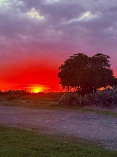 Georgia Apartments - 7