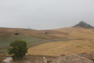 Agriturismo Masseria Castellana - 9