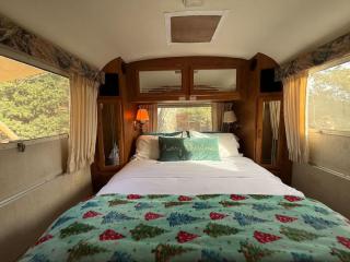 Airstream w flush toilet city water hot tub - 7