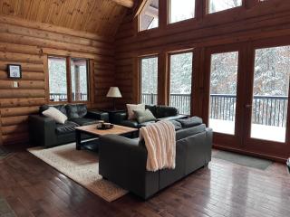 Private A-Frame Log Cabin near Tremblant With Hot tub Game Room - 9