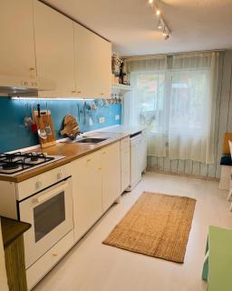 Casa Enjoy the Ride Aproape de autostradă și totuși în mijlocul naturii, loc deosebit de liniștit cu parcare privată gratuită - Arad - 1