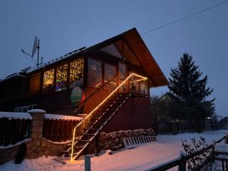 Guesthouse Karpaty - Yasinya - 9