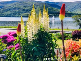 Hillview Guest House - 7