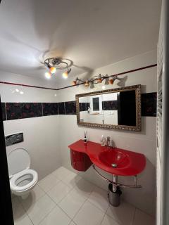 Apartment in the center of Piešťany overlooking the river Váh - 5