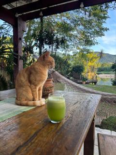 Suites Ellis em Condomínio, Estacionamento e Piscina - 2
