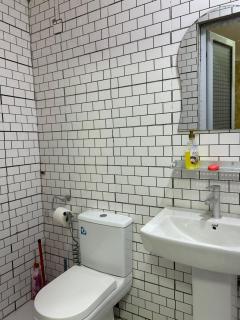 Adelpha properties Main - 5