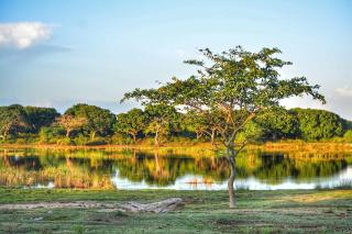 Glossy Lake View - 6