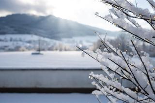 Wellness Pension am Rain - 5