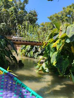 Los guayabos baja camp - 8